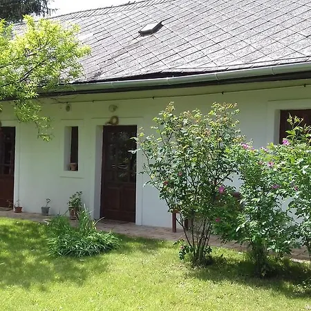 Szederfa Jásd