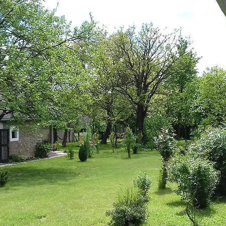 Szederfa 2* Jásd
